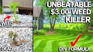 3 DIY Weed Killer BEATS RoundUp Naturally [upl. by Petronilla]