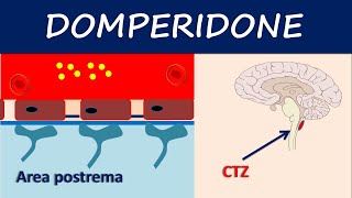 Domperidone  How it acts as an antiemetic [upl. by Ahtel]