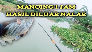 Mancing 1 Jam Hasilnya Diluar Nalar mancing fishing mancingmania [upl. by Mccormick]