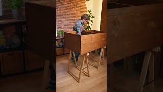 Sideboard selber bauen Shorts  DIY [upl. by Crespo]