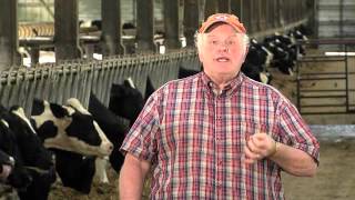 Dairy Farming FAQ  Organic milk and milk from grassfed cows [upl. by Zacharias897]