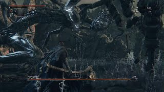 Bloodborne Amygdala Boss Fight [upl. by Elockcin357]