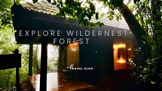 Wildernest resort goaChorla ghatGoa forest resortsgoa wildernestresortforestwilderness [upl. by Burk108]