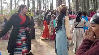 new sherpa dance 2024 losar special 2080 piknic luwangsha sherpa group dance [upl. by Gerson69]