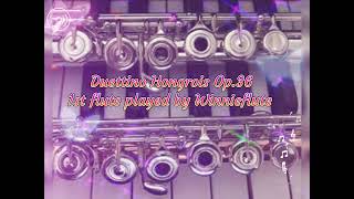 Duettino Hongrois op36 played by Wnnieflute1st flute YORIKO KASAI2nd flute composed by Doppler [upl. by Divaj]