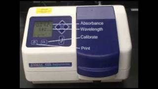 Spectrophotometer Demonstration [upl. by Ataliah99]