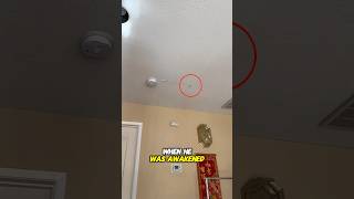 Creepy sound from the ceiling 😱 [upl. by Viridis]