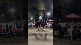 Caballo bailador lujo [upl. by Gerdi]