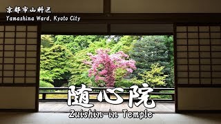 随心院の境内（京都市山科区）Zuishinin Temple Yamashina Ward Kyoto Japan [upl. by Atinat]