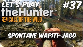 the Hunter Call of the Wild 37  Spontane WapitiJagd Gameplay  Deutsch [upl. by Itnavart315]