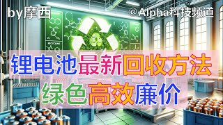 锂电池绿色回收新方法，环保高效廉价，橡树岭国家实验室｜Oak Ridge Labs New breakthrough Green Lithium Battery Recycling method [upl. by Werd892]