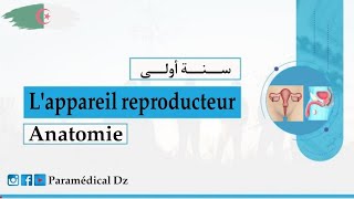 درس lappareil reproducteurالجهاز التكاثري لطلبة شبه الطبي بشرح رائع و ملخص بالعربية و الفرنسية [upl. by Aiseneg]