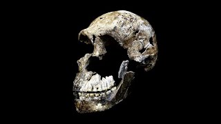 CARTA Presents The Origins of Todays Humans  John Hawks How Homo Naledi Matters to Our Origins [upl. by Haelam]