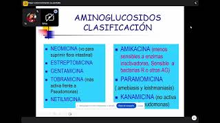 Aminoglucosidos y quinolonas [upl. by Betthel]