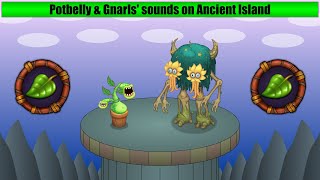 Potbelly amp Gnarls  Ancient Island Wave 1 [upl. by Leumas99]