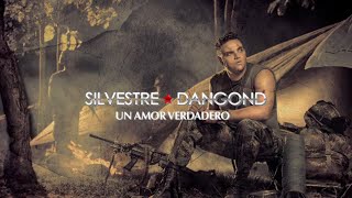 Un Amor Verdadero Silvestre Dangond amp Rolando Ochoa  Letra Oficial [upl. by Schonthal]