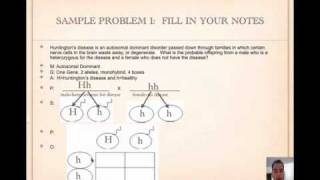 How to Solve Punnett Squares Tutorial [upl. by Yrem]