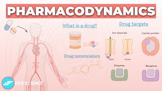 Introduction to Pharmacodynamics  Pharmacology [upl. by Hobie]