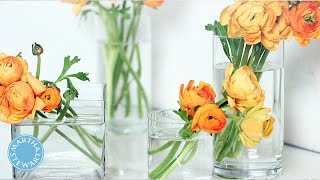 The Trick to a Crystal Clean Flower Vase  Martha Stewart [upl. by Chadd869]