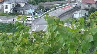 Harvest Season in Matsumoto The Case Against Calendars [upl. by Norraa]