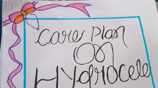 care plan on Hydrocelecase presentation [upl. by Nanette]