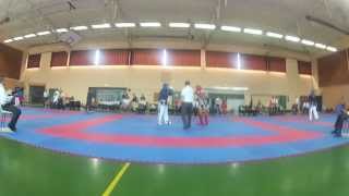 yoseikan budo vs mma [upl. by Shanley]