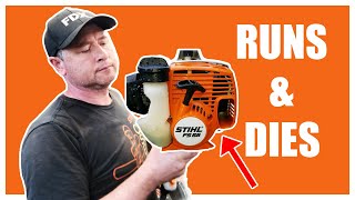 STIHL FS55 Weed Whacker Has No Spark Step By Step Repair With Donyboy73 [upl. by Pussej]