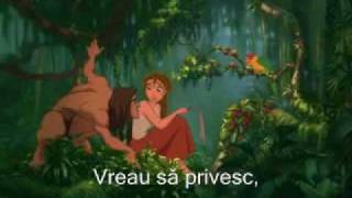 tarzan strangers like me romanian with lyrics [upl. by Chrystal531]