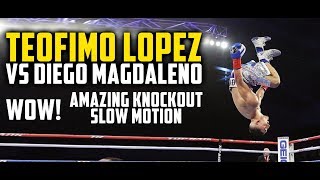 WOW Teofimo Lopez VS Diego Magdaleno Knockout Slow Motion [upl. by Ecnerwal]