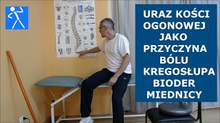 Uraz kości ogonowej i guzicznej  Przyczyna bólu kręgosłupa bioder miednicy  Ćwiczenia  🇵🇱 🇪🇺 [upl. by Anib]