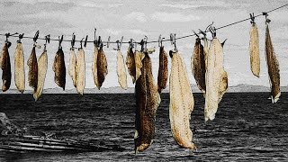 Outport Newfoundland Cod Drying  Art Photography Prints [upl. by Lorinda23]