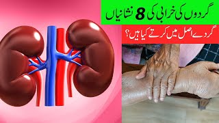 Warning signs your kidneys are in danger  kidney problems symptoms in urdu hindi  Health amp Care [upl. by Ardyth494]