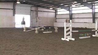 Jumping a Gymnastic Line on a Horse  Jumping 5 Fences on a Horse [upl. by Luby]