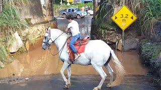 Colocando o cavalo Gaúcho pra atravessar um alagado [upl. by Suckram]