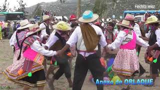 CARNAVALES DE PUQUINA 2019  ANEXO ORLAQUE  XI ENCUENTRO EN SUBIN FHD [upl. by Hsot]