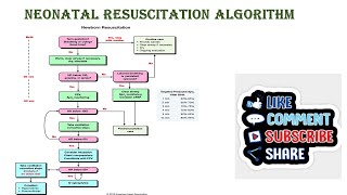 Neonatal Resuscitation Algorithm [upl. by Nnairahs]