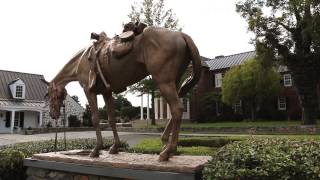 Horses amp History in Middleburg VA [upl. by Aziaf]