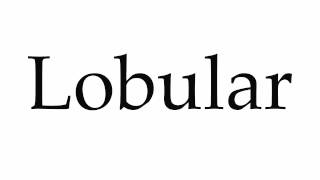 How to Pronounce Lobular [upl. by Hubbard440]