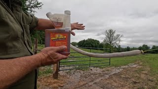 Fly amp Tick Control Setting up a Back Rubber for Cattle [upl. by Leler]