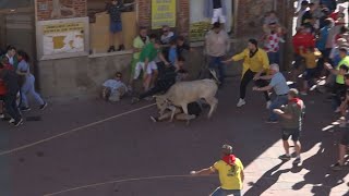 Torito del Alba Cuerva  Fiestas del Toro Enmaromado 2024 Benavente [upl. by Barrett]