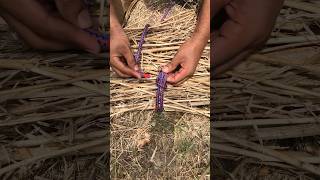 Easy And Simple method of bundling firewood  Once Time Try This [upl. by Stodder264]