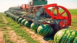 Amazing Agriculture Machines Operating At An INSANE LEVEL [upl. by Ashly274]