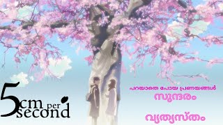 മറ്റൊരു സുന്ദരമായ Anime  5 centimeters per second Full Movie Malayalam Explanation [upl. by Assedo]