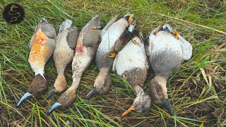 Marsh Duck Hunting in Southeast Louisiana 108 Yard Shot [upl. by Bores]