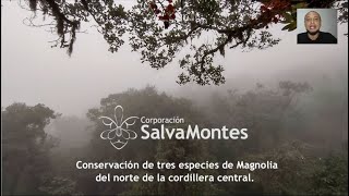 Conservación de tres especies de Magnolia del norte de la cordillera central [upl. by Eiveneg]