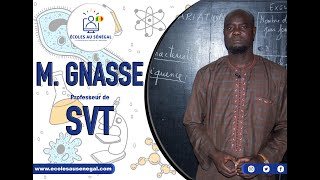 Cours  Terminale S1  SVT  La Transmission Synaptique  Suite 2  M Gnass [upl. by Ahtilat]