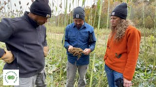 Make Yourself a Hand  Sweet Sorghum Harvest 2022 [upl. by Vedetta533]