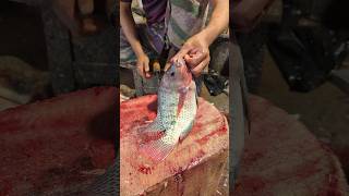 Astonishing Perfect Size Tilapia Fish Cutting Skills In Bangladesh 🫢😱 shorts [upl. by Inavoig835]