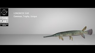 Fishing Planet  Neherrin River  Trophy  Longnose Gar  Float [upl. by Retsila]