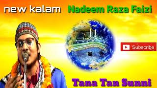 Nadeem Raza Faizi madhupuri new kalam 2018 [upl. by Ainessey]